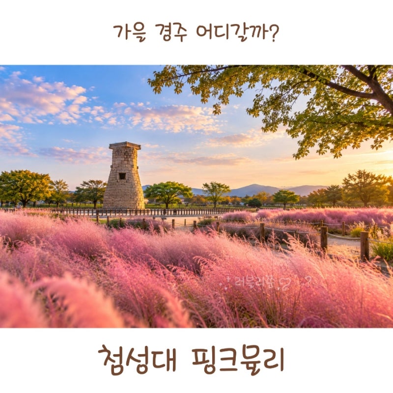 경주 가을여행 첨성대 핑크뮬리부터 대릉원까지 가볼만한곳 코스