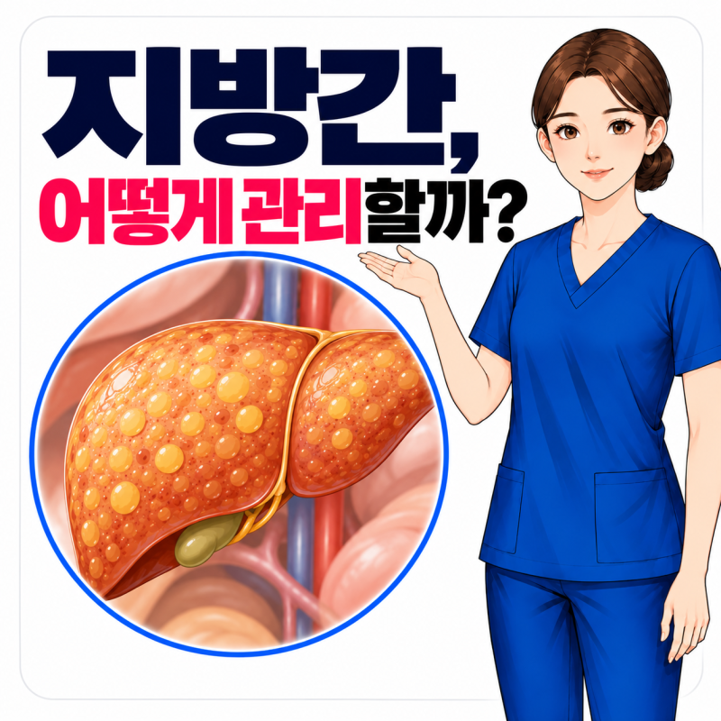 비알콜성 지방간, 지방간 영양제 도움될까?