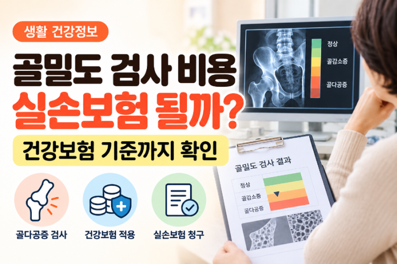 골밀도 검사 비용 실손보험 될까? 골다공증 검사 전 확인할 건강보험 기준