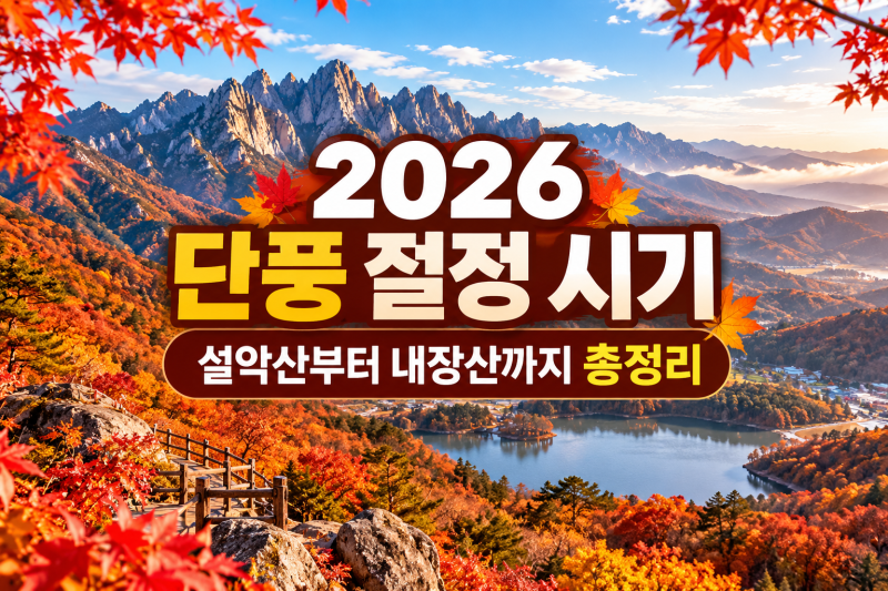 2026 단풍 절정 시기 설악산부터 내장산까지 총정리