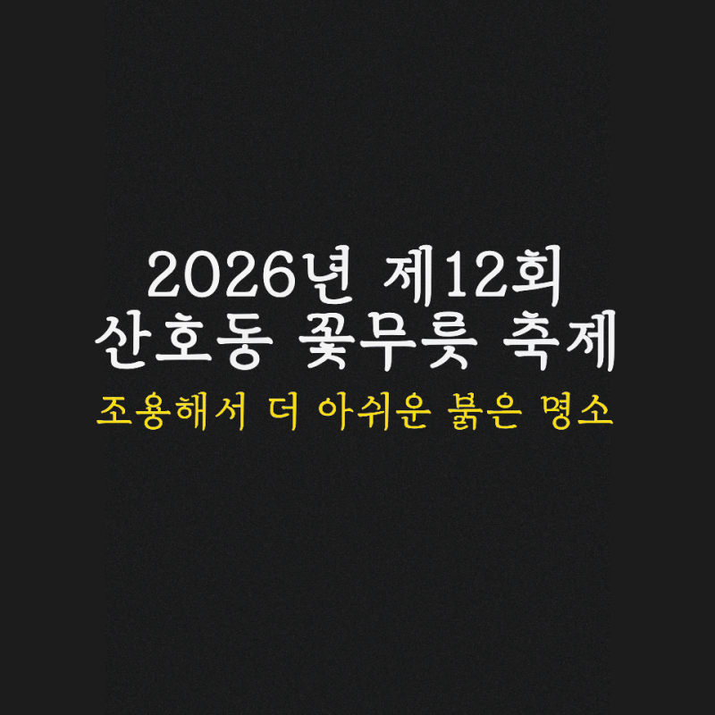 산호동 꽃무릇 축제 2026 제12회 날짜 찾기도 힘드네요… 올해는 언제 열릴까?