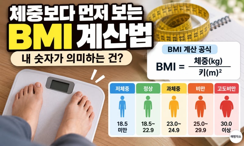 BMI계산하기, 정상범위부터 나라마다 다른 기준까지 총정리