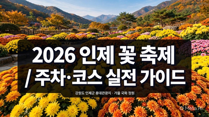 2026 인제 가을꽃축제 주차 팁과 테마별 추천 코스 실전 비교