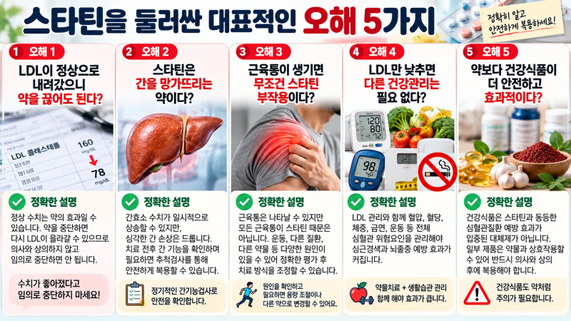 고지혈증 약 스타틴의 효능·원리·부작용·장기 복용과 중단 기준