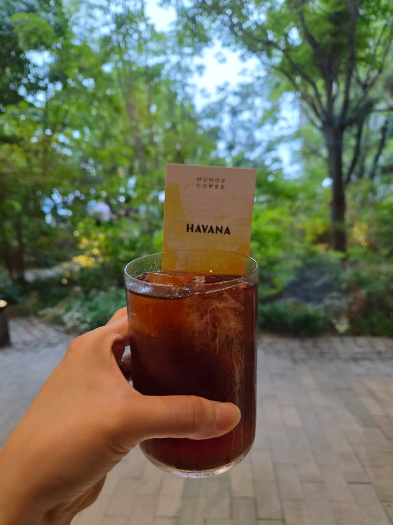 부산 모모스커피 마린시티점, 커피향기 가득한 고요한 해운대 휴식처