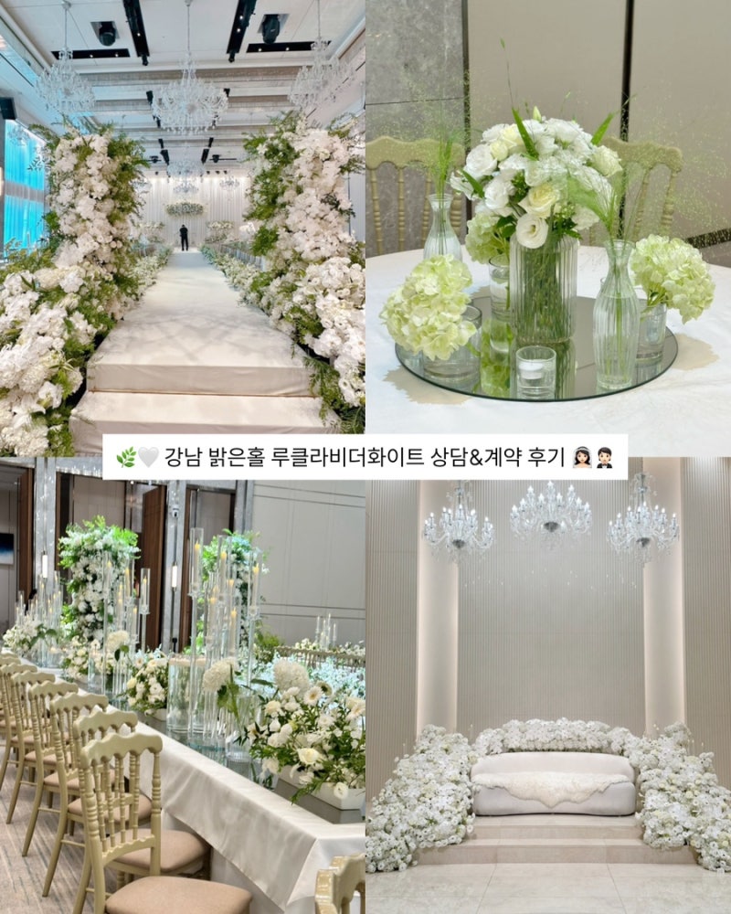 웨딩홀 투어 : 강남 밝은홀, 루클라비더화이트 (계약 O)