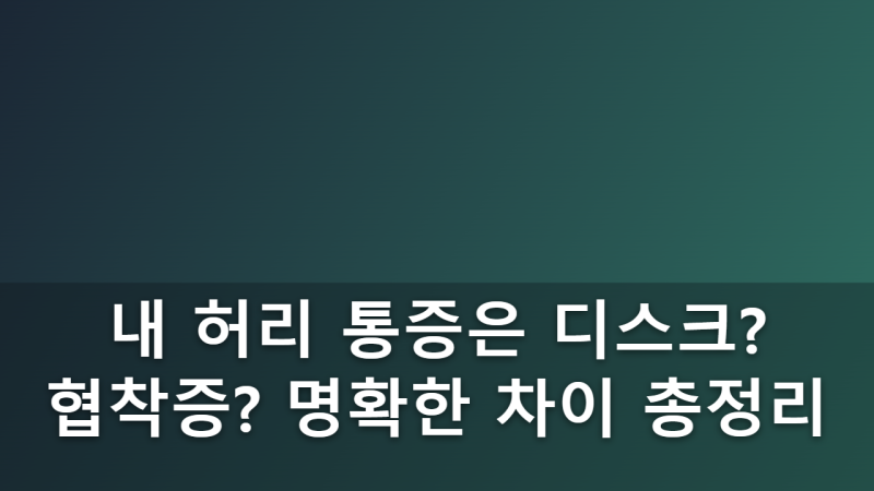 정형외과 전문의가 알려주는 허리디스크와 척추관협착증의 명확한 차이