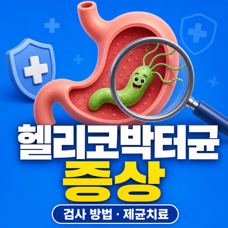 헬리코박터균 증상, 속쓰림보다 먼저 나타나는 신호와 검사 방법, 제균치료까지