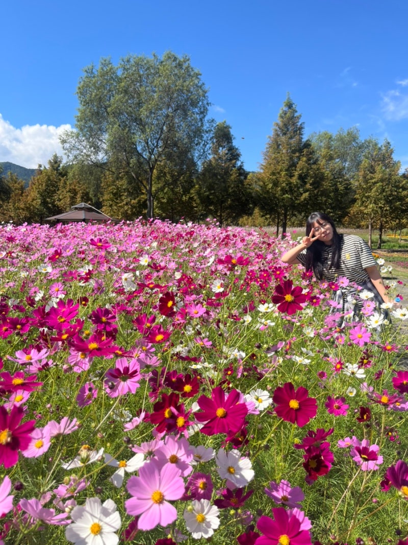 Yanggu, Gangwon-do: Free Admission! Hanbando Island to Paroho Flower Island, Siraewon Restaurant, and Baksu