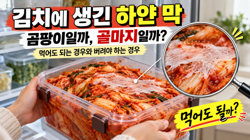 김치에 생긴 하얀 막, 곰팡이일까 골마지일까? 먹어도 되는 경우와 구별법·보관법 총정리