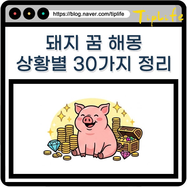 새끼 돼지 꿈 해몽 황금 검은 하얀 핑크 아기 돼지 꿈꾼 날 의미와 태몽 풀이까지
