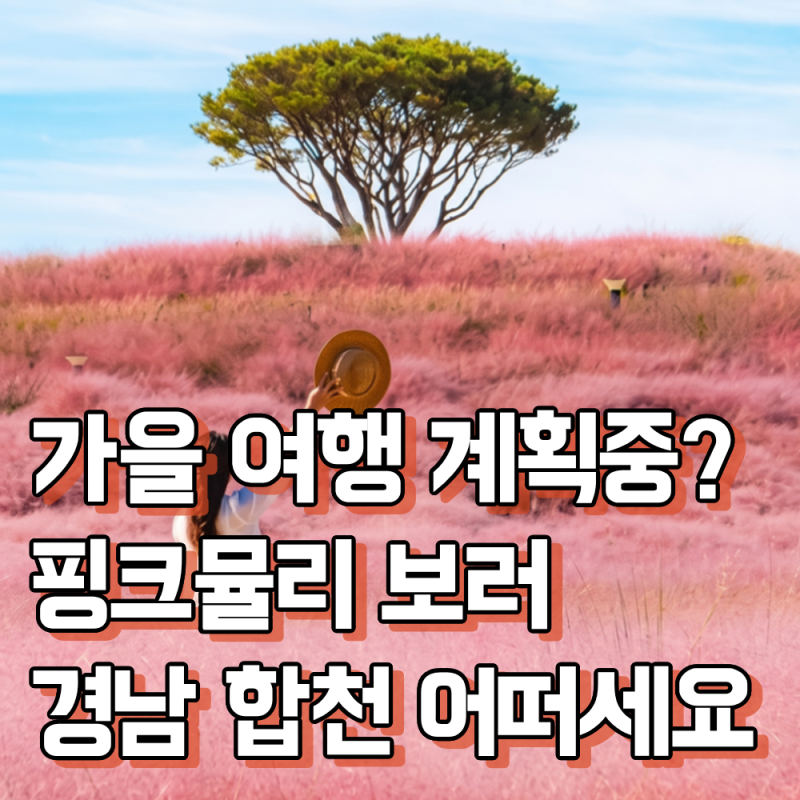 陜川のピンクミューリーを見に行きますか？私も行きます！