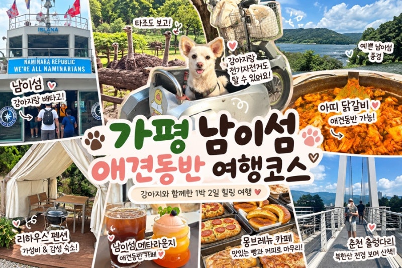 가평 남이섬 애견동반 여행 1박2일 코스 추천/ 애견동반 카페, 식당,펜션 추천