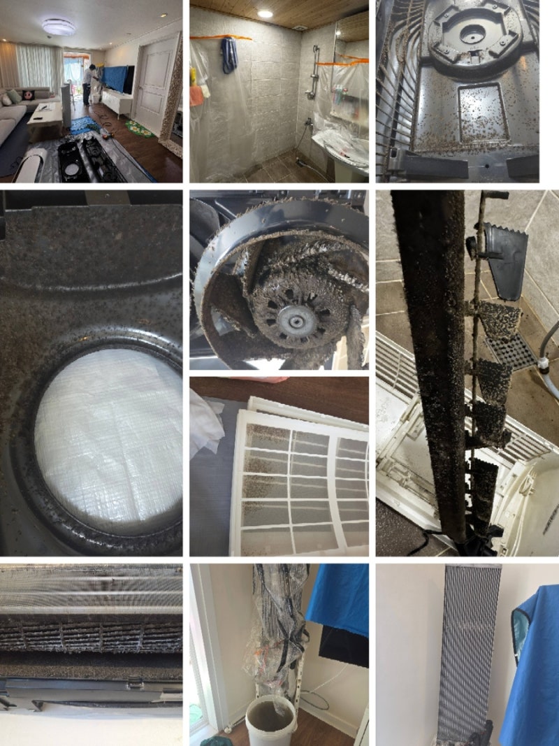 경남 에어컨청소교육학원 에어컨세탁기기술교육 울산 대구 창원 밀양 오월애홈케어기술교....