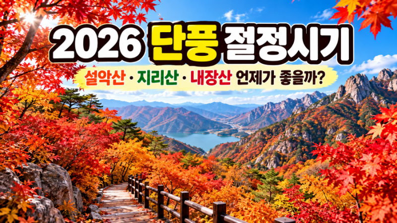 2026 단풍 절정시기 언제? 설악산·지리산·내장산 지역별 단풍 명소 총정리