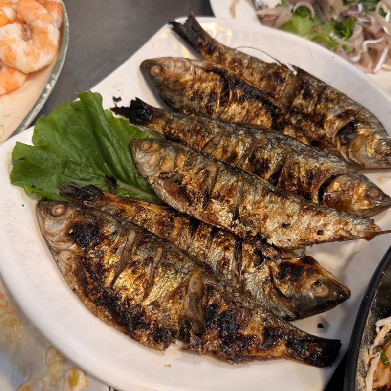 전어회와 대하구이 먹고 온 대전 문창동 맛집 동해회마차