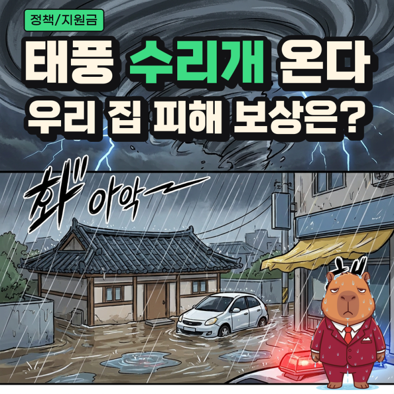 태풍 수리개 북상, 풍수해보험 지원율·자동차 침수 보상·재난지원금 신고 기한