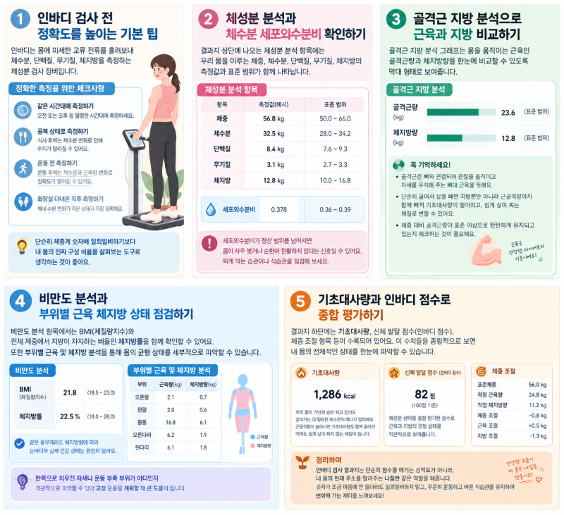 인바디 검사 결과지 항목별 보는 법과 체지방량 근골격량 해석하기