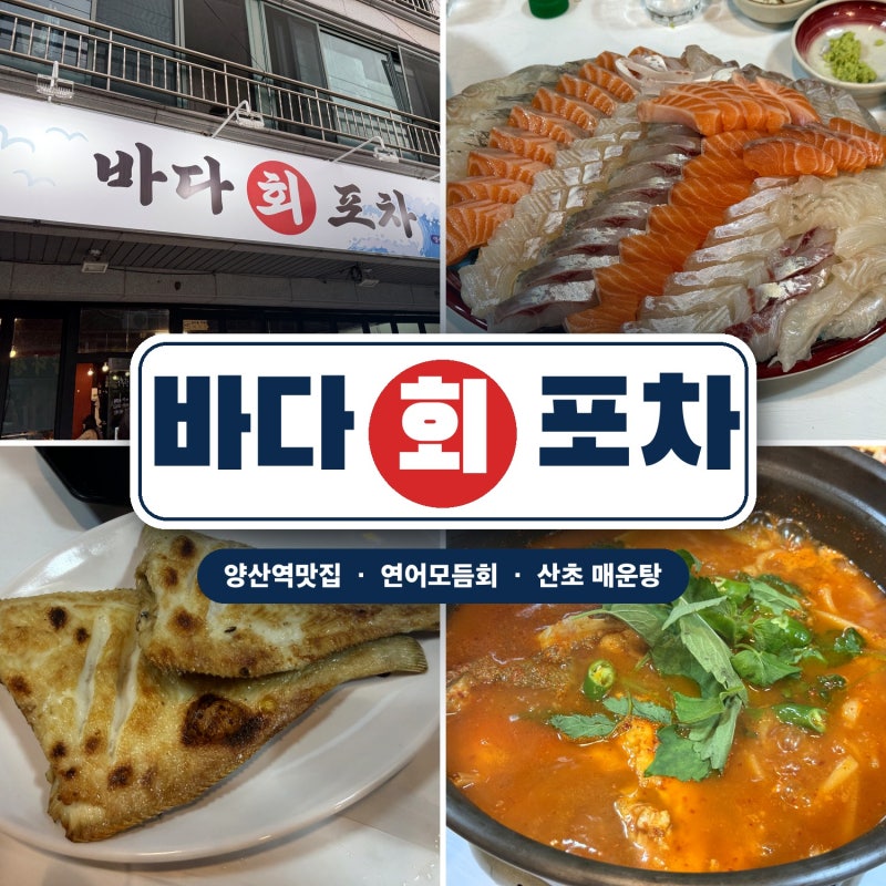 양산역맛집 바다회포차, 연어모듬회에 아이 반찬까지 가성비 끝판