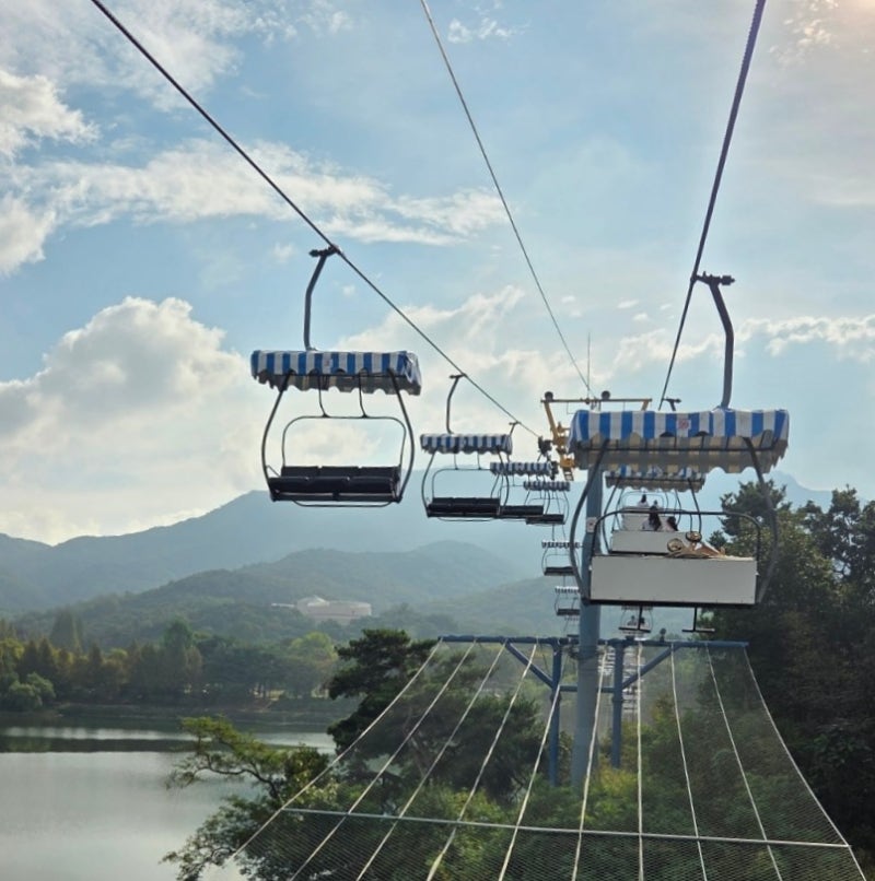 서울대공원 동물원 아이랑 안 힘들게 보는 법! 스카이리프트 2회권 정상 코스 추천 (ft. 코끼....