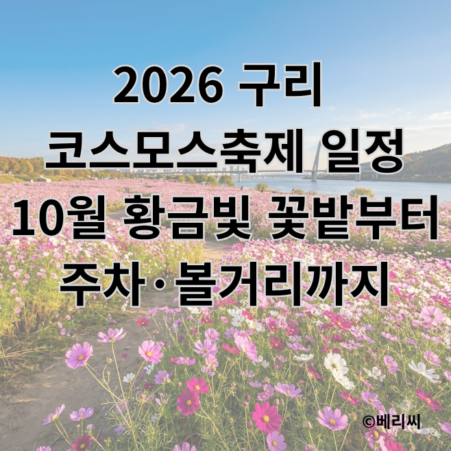 2026 구리 코스모스축제 일정｜10월 황금빛 꽃밭부터 주차·볼거리까지
