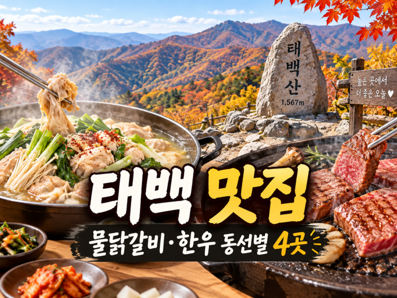 태백 물닭갈비·한우 어디서 먹을까｜태백산 당골부터 철암 탄광문화장터까지 동선별 정리