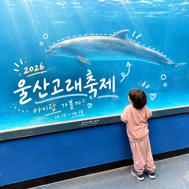 2026 울산고래축제 일정, 아이랑 장생포 하루로 부족했던 이유