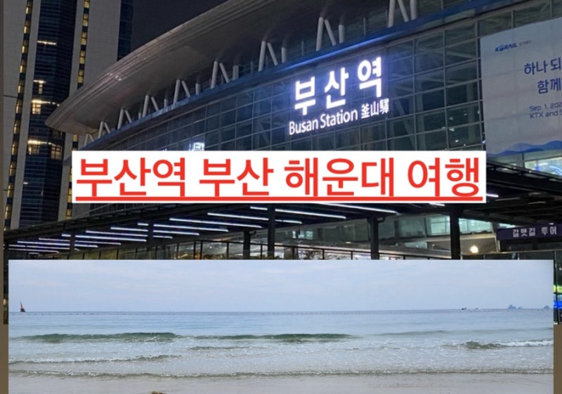 부산여행 번개로 해운대 기차 타고 바다 보러 GO!