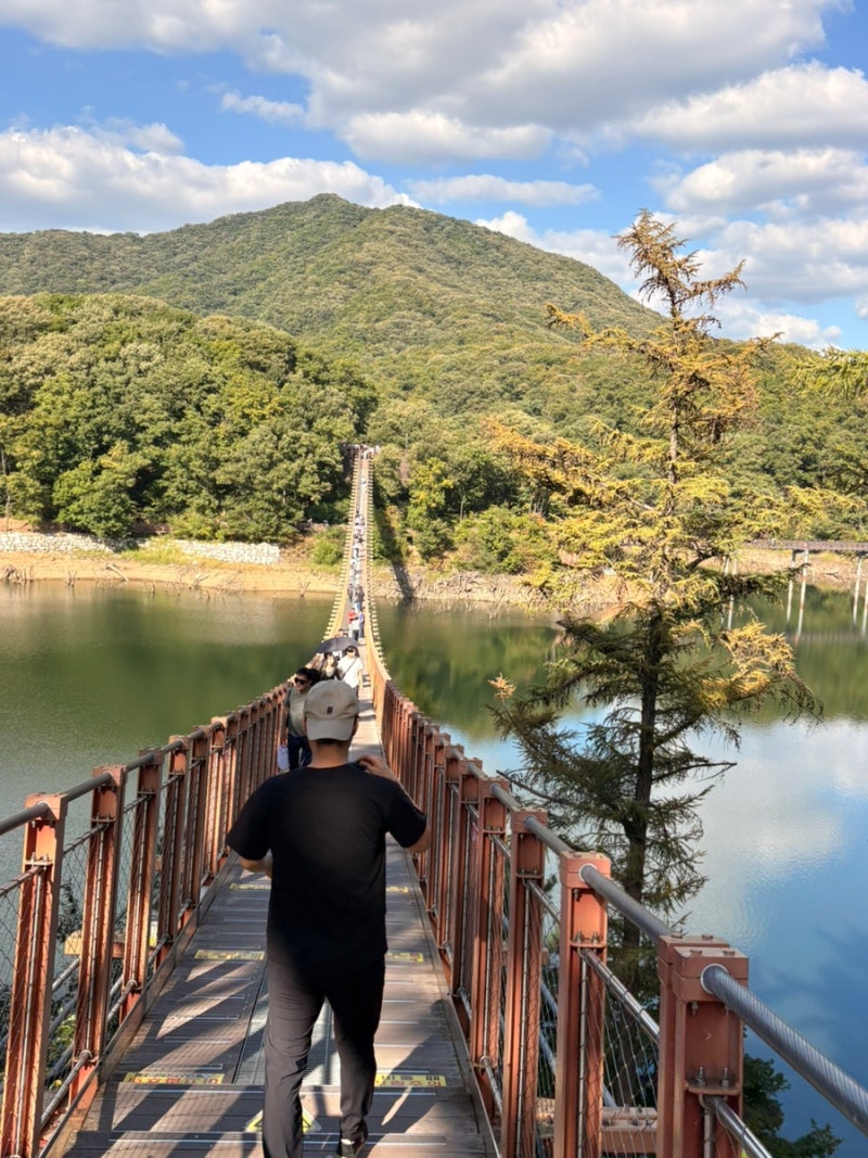 파주 마장호수 출렁다리 다녀온 후기｜서울 근교 가을 나들이 추천