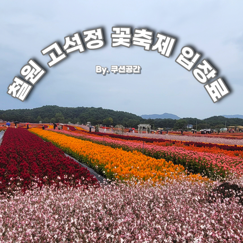 철원 고석정 꽃축제 입장료 꽃구경 후기