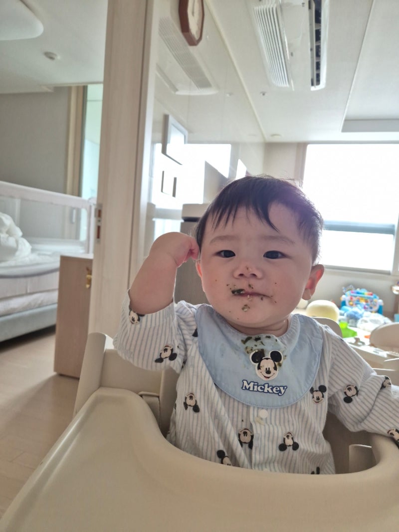 [중기이유식/양송이버섯] D+244 마이아 두유제조기 <닭고기양송이단호박죽/소고기미역표고버....