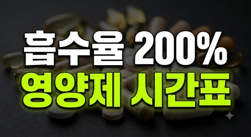[영양제] 흡수율 200% 올리는 아침 vs 저녁 복용 시간표 (오메가3·비타민B·C·D·마그네슘)