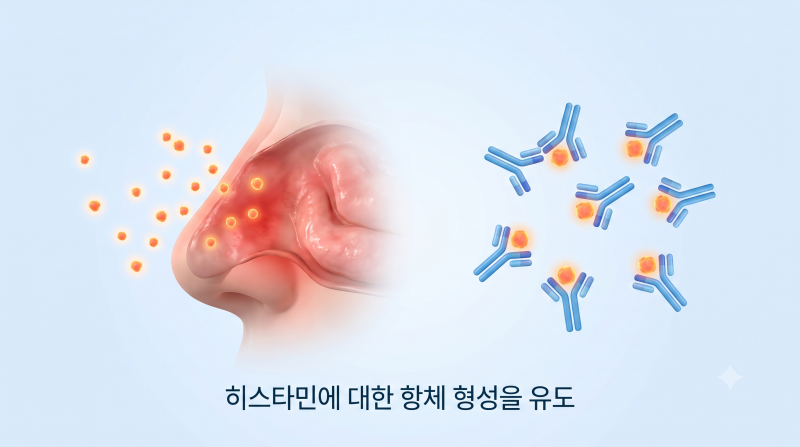 송도신도시, 알레르기 비염 탈출, 히스토불린 주사가 답이 될 수 있을까요? (가격, 실비, 부작....