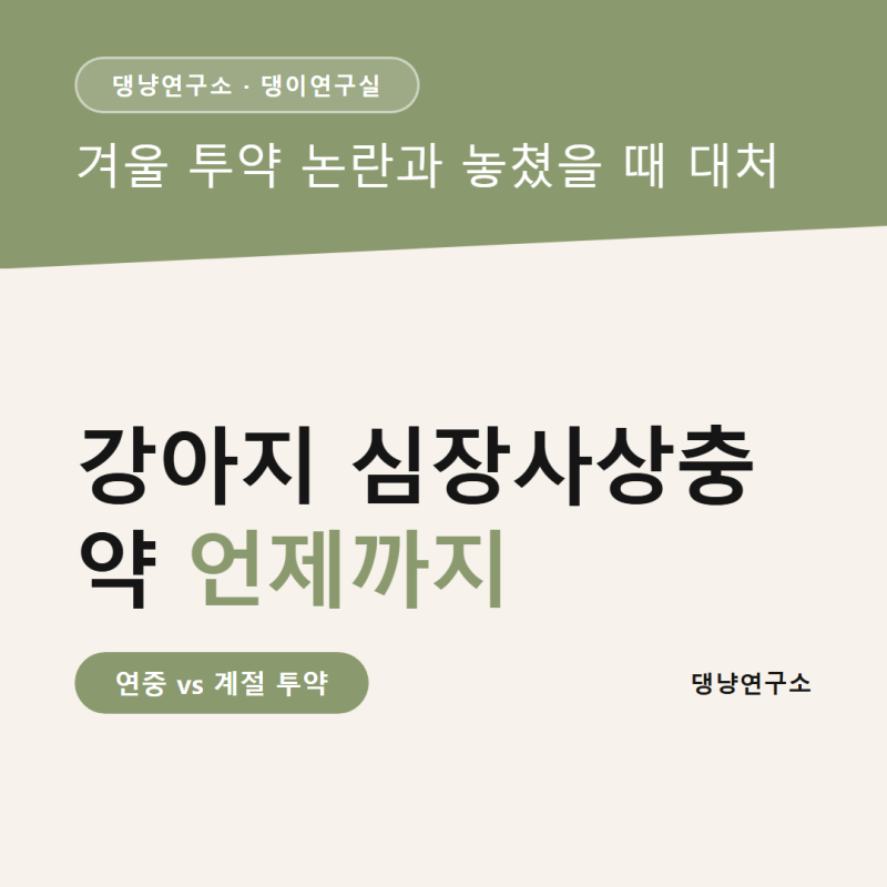 강아지 심장사상충 약 언제까지, 겨울 투약 논란과 놓쳤을 때 대처