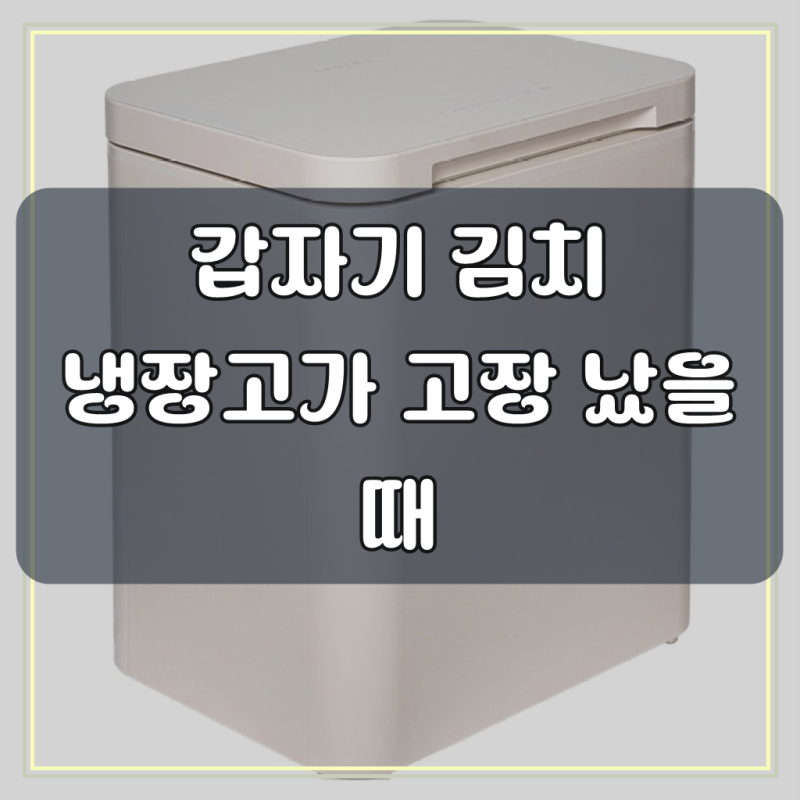 쿠잉전자 53L 김치냉장고, 저희 집 김치 고민 해결했어요