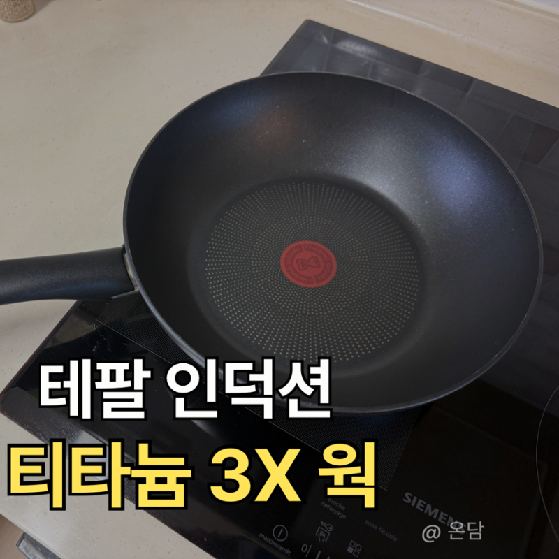 인덕션 웍 추천 / 테팔 인덕션 티타늄 3X 퍼펙션 웍 26cm 실사용 후기