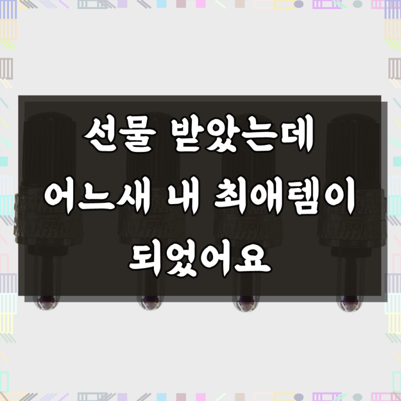 바이클로스 자전거 신형 던롭밸브 / 무시고무가 필요없는 밸브