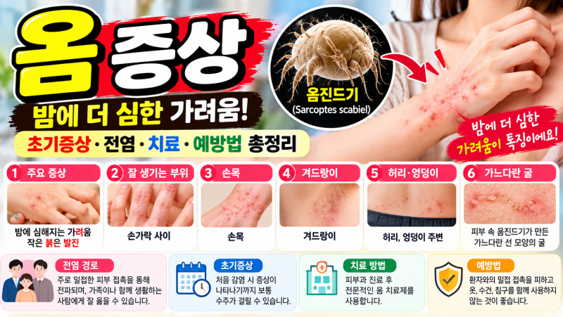 옴 증상 총정리｜밤에 심한 가려움·초기증상·전염·치료·예방법