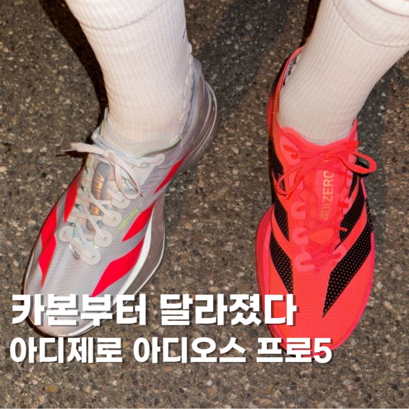 드디어 출시한 아디다스 아디제로 아디오스 프로5, 4와 차이는요
