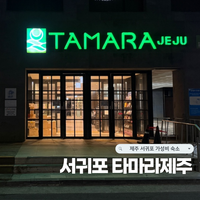 제주 서귀포 가성비 숙소 | 타마라제주 3박 후기