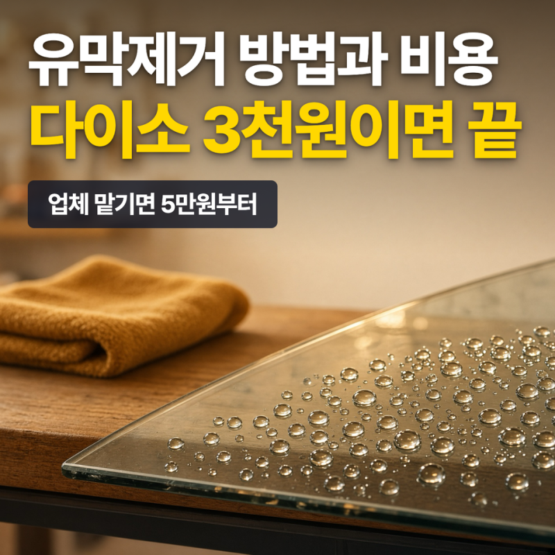 유막제거 방법과 비용, 다이소 3천원이면 끝