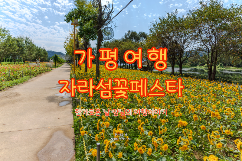 Gapyeong Flower Festival 2026 Jaraseom Flower Festa: Namdo Flower Garden and Bukhangang River Scenery