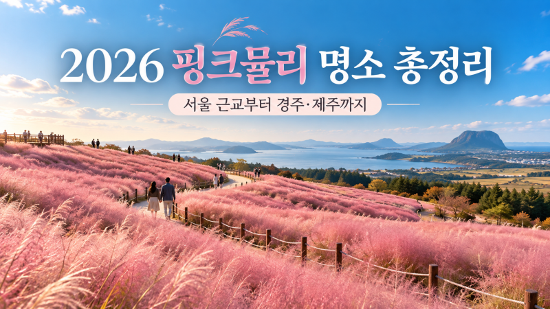 2026 핑크뮬리 명소 총정리, 가을에 꼭 가볼 만한 전국 핑크빛 여행지