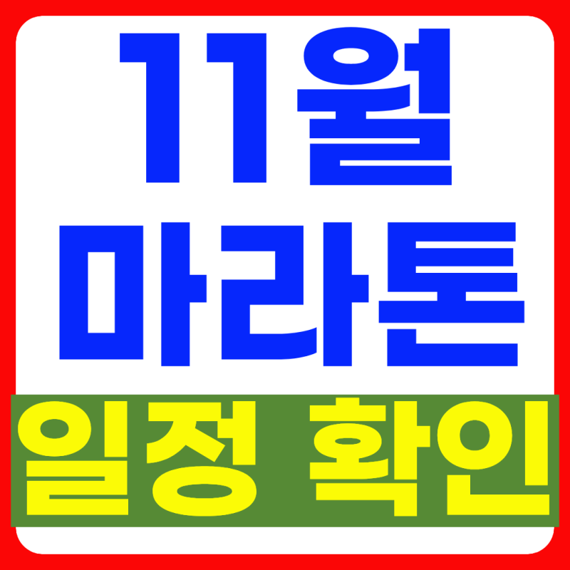 11월 마라톤 일정 어디 남았을까? 지금 접수 가능한 대회 찾아봤어요 (9.26 업데이트)