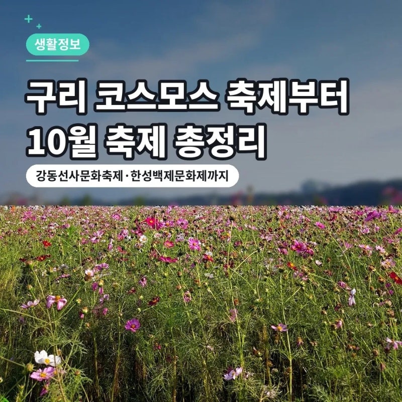 구리 코스모스 축제부터 강동선사문화축제까지, 10월 근교 축제 총정리
