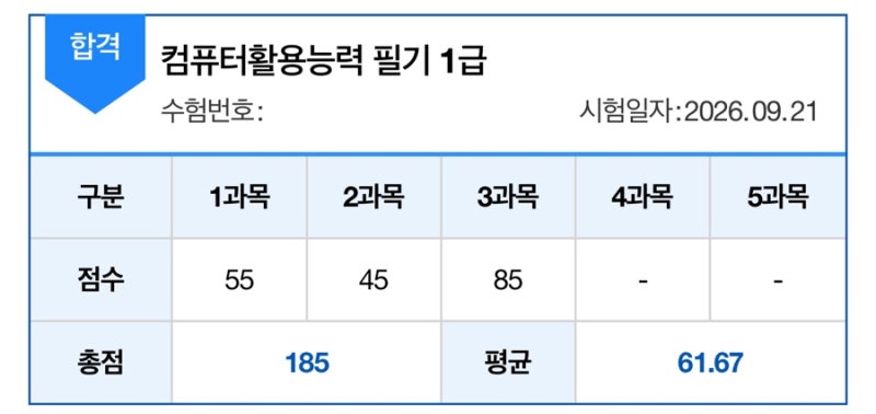 [컴퓨터활용능력 1급] 개폐급의 필기 독학 합격 후기