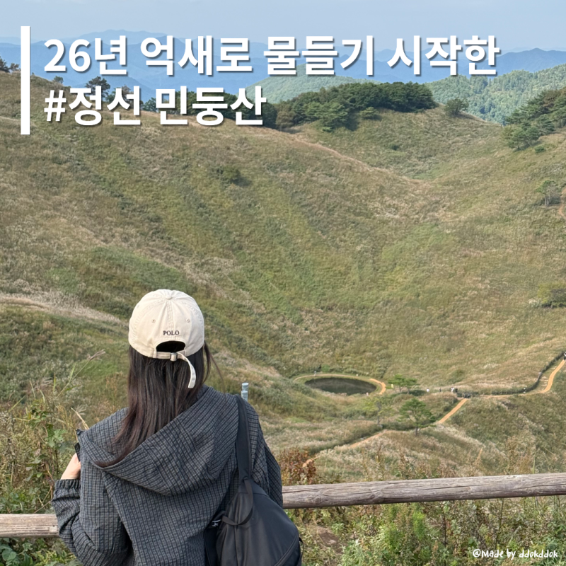 [등산] 등린이 등산코스 - 인스타 릴스 보고 민둥산 억새 타령한 동생과 함께, 민둥산 등산코....