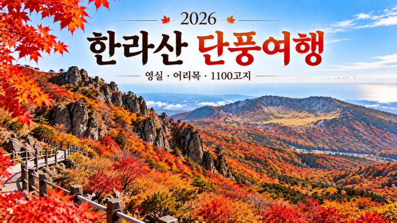 2026 한라산 단풍 절정 언제? 영실·어리목·1100고지 제주 가을여행 총정리