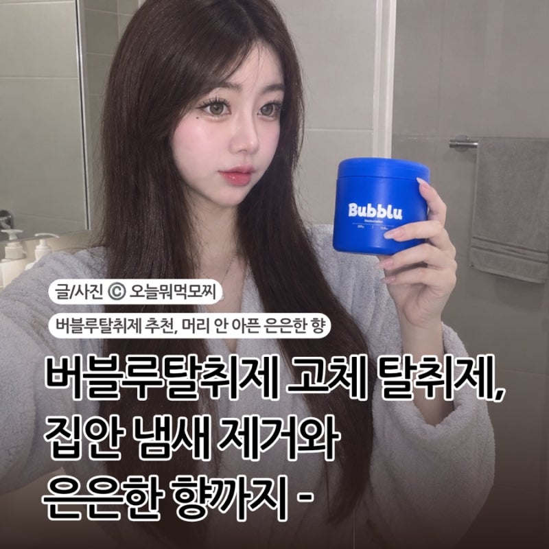 탈취제 추천 버블루탈취제 고체 탈취제, 은은한 향과 깔끔한 냄새 제거