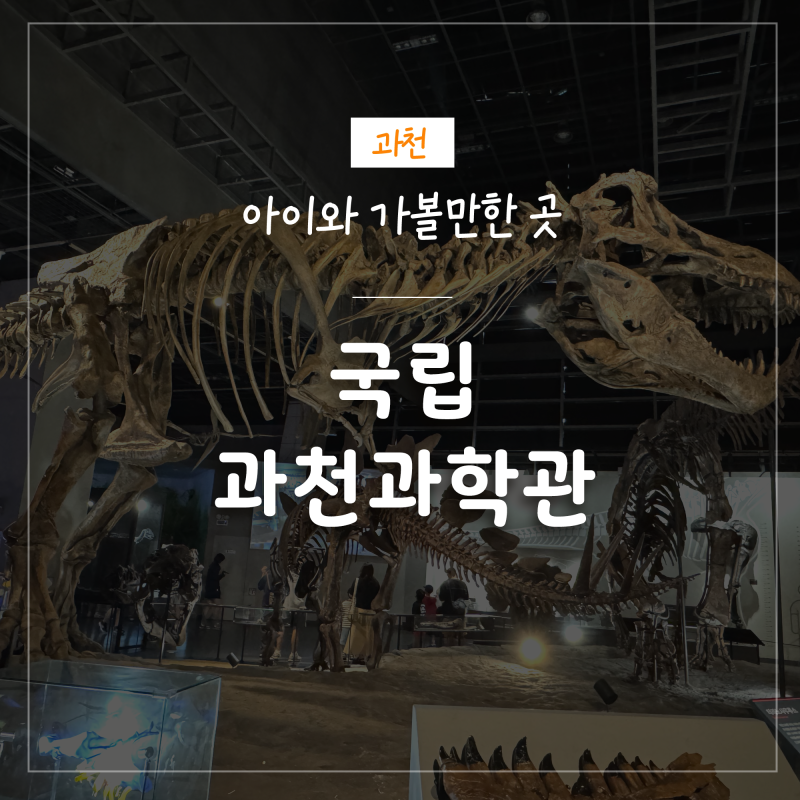 [과천/아이랑] 국립과천과학관 유아체험관 후기/아이랑 가볼만한 과천과학관
